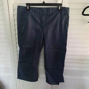 J.Crew cropped navy chinos, stretch, size 10